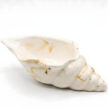 Aura-schaal - Wit / Goud