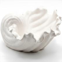 Designkom Schelp - Wit