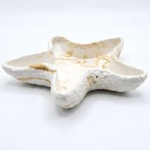 Design zeesterschaal - Wit / Goud